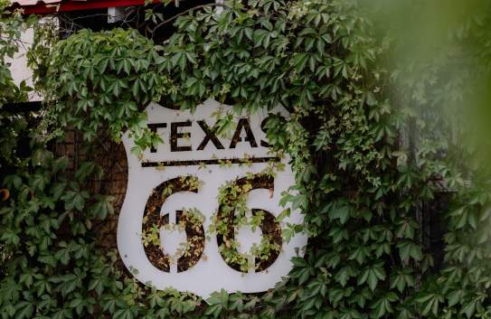 Photo of a route 66 sign covered in greenery at Texas Ivy in Amarillo, Texas