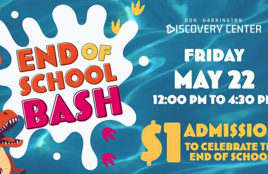 End of School Bash