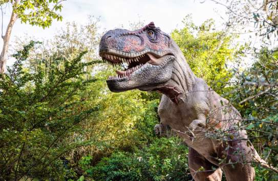 Dinosaurs around the World