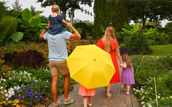 2026 Visitor Guide Image