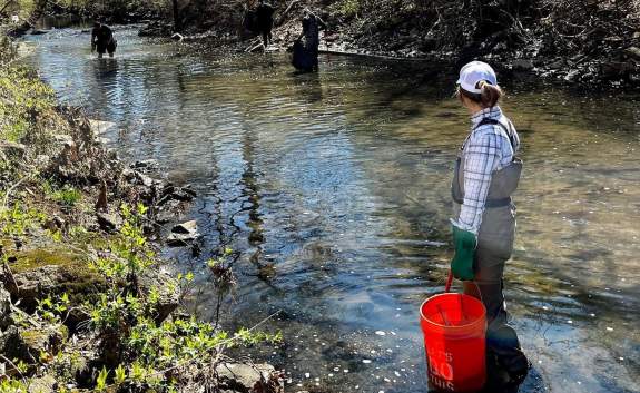A woman stands in a creek with an orange bucket cleaning up litter