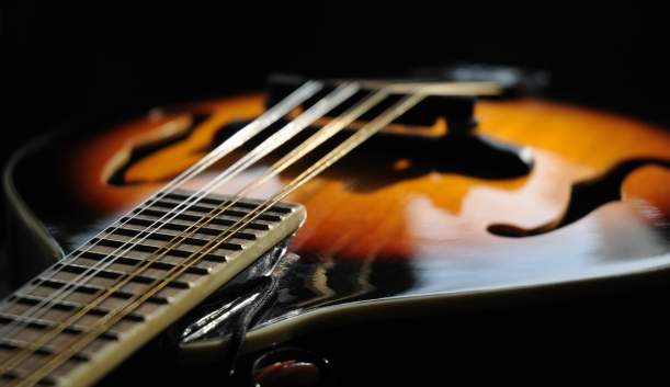 2026 Bluegrass on the Grass Festival: July 11