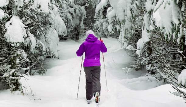 Cumberland Valley Winter Bucket List