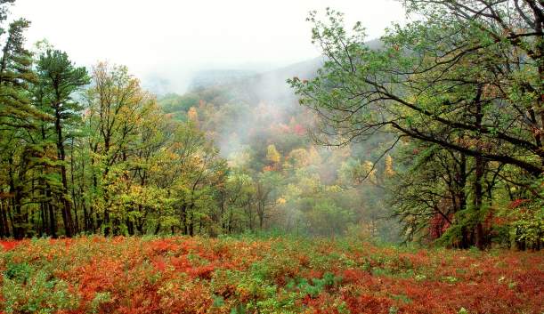 Kings Gap