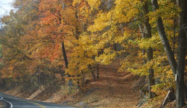 Instagram-Worthy Fall Foliage Locations