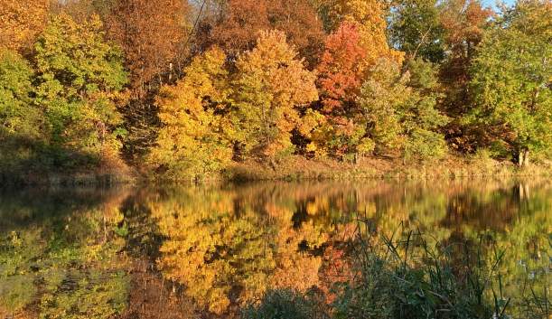 Inexpensive Things To Do This Fall