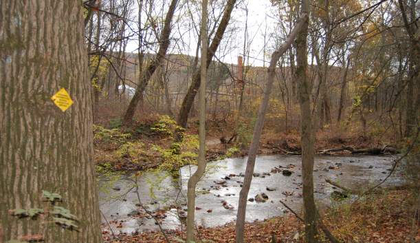 Mount Holly Marsh Preserve