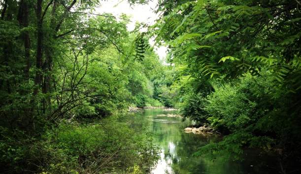 LeTort Spring Run Nature Trail