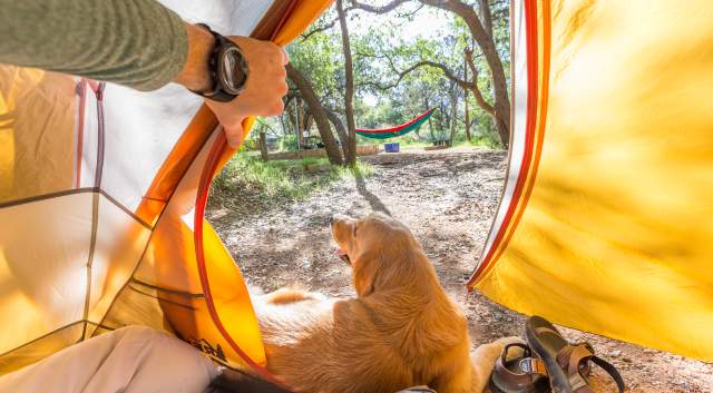 man and dog tent camping at inks lake state park near austin texas