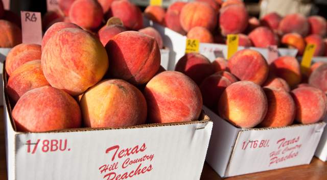 Fredericksburg peaches
