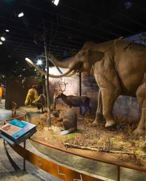 11 Indoor Activities & Hidden Gems to Add to Your Family’s Bucket List in York County