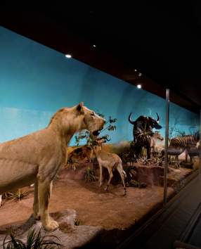 Museum of York County