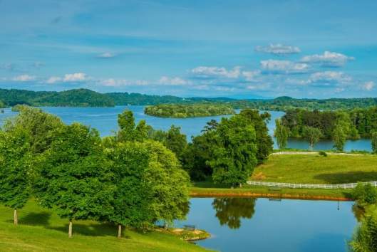 Aerial view of waterway and trees at Watts Bar Lake