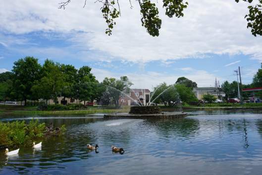 ​Fountain City Duck Pond courtesy of Knoxville History Project