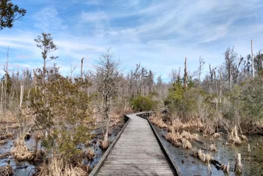Goose Creek