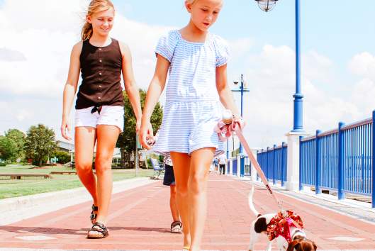 Children walking with a dog