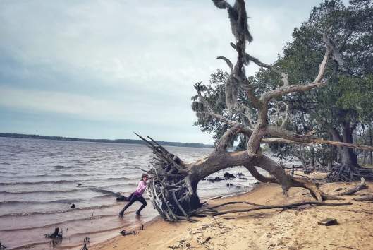 Goose Creek State Park