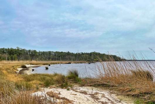 Goose Creek State Park