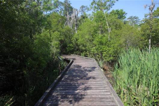 Goose Creek State Park
