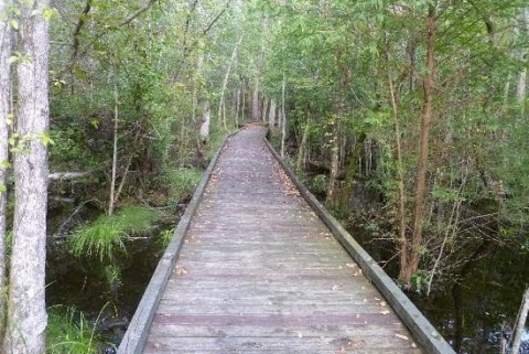 Video Thumbnail - youtube - Make it a Weekend at Goose Creek State Park