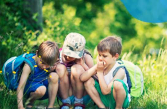 Nature Explorers: What’s Happening Outside?