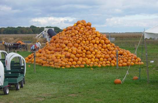 Fall Fun on the Farm