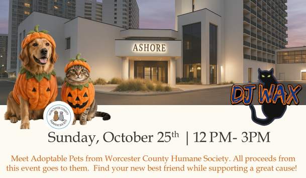 Howl-O-Ween Pawty, partnered with The Humane Society