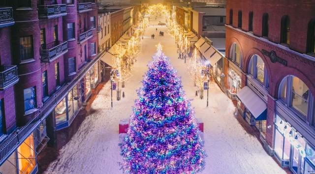 Christmas tree lights on Church Street