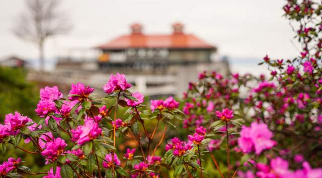 Flowers and Community Boat House - Spring