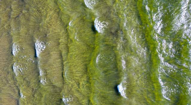 Aerial view of Waves