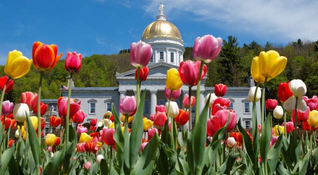 Montpelier - Advocacy - Chamber