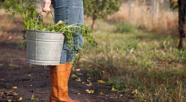 FARMER HOLDING PRODUCE