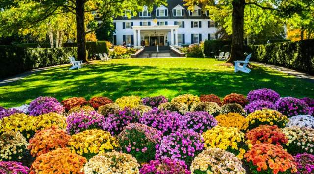 Flowers and mansion