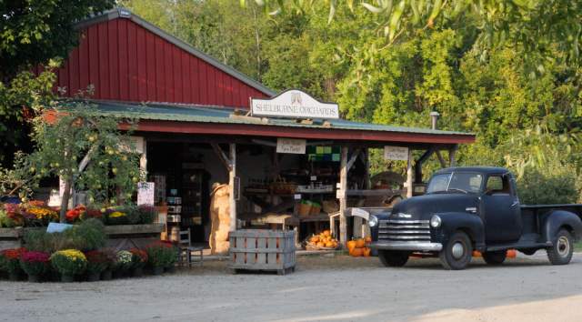 Shelburne Orchard