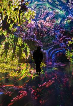 ARTECHOUSE: Fractal Worlds