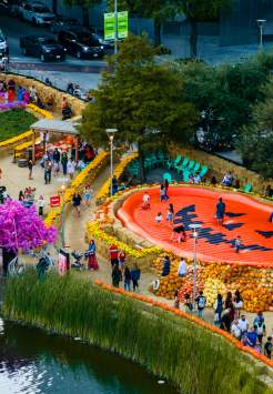Houston Pumpkin Festival