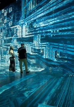 ARTECHOUSE: Fractal Worlds