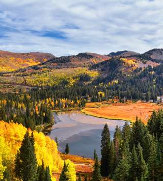 Adobe Stock Fall imagery