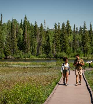 Two people strolling on a wooden boardwalk through a high mountain marsh with tall pine trees in the background