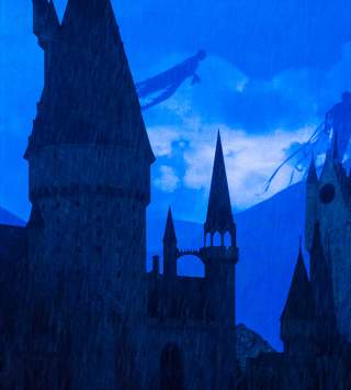 Harry Potter Experience