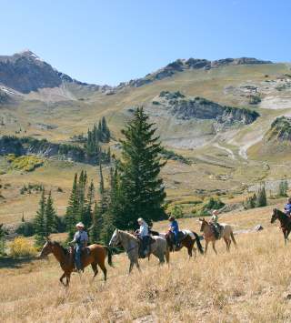 Group of people on horseback in the mountains in summer