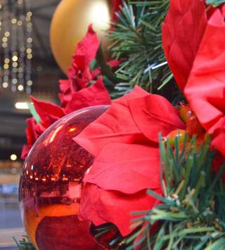 Trolley Square Christmas