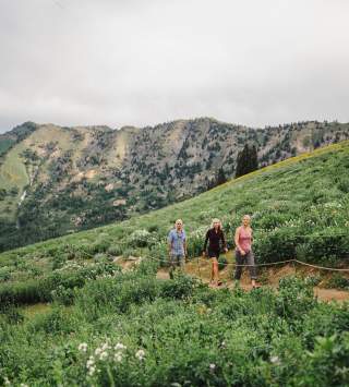 3 people hiking on a path through the wildflowers with mountains in the background