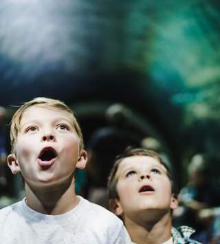 Kids at the Loveland Living Planet Aquarium