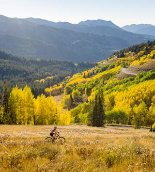 Single mountain bike rider in the distance with golden grass and fall leaves with mountains silhouetted in the background