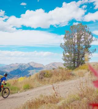 Wasatch Crest Trail Mountain Bike Ride