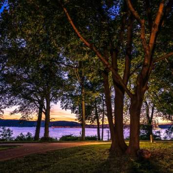 view of the water through trees