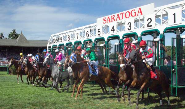 Horses being released from the starting gate