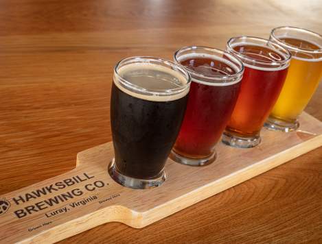 Hawksbill Brewing Co.