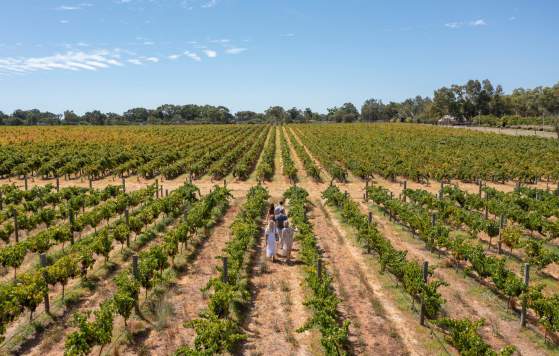 Sandalford Winery, Swan Valley
